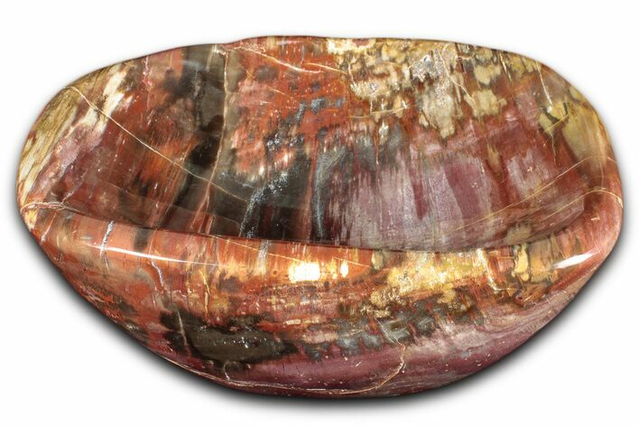 Colorful Polished Petrified Wood Bowl - Madagascar #346821